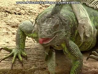 Tightrope walking and heels in a steamy anal sex scene