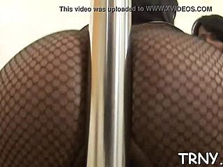 Shemale Blowjob in Hardcore Transgender Porn