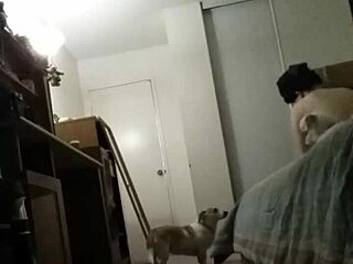 neighbors hanging out on a summer day in 2015