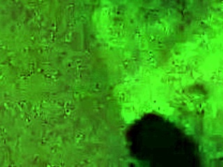 Carl Lite and His Friend Share a Relaxed Moment