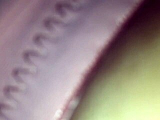 she bends over for doggystyle fucking with dildo