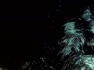 Neighbor Sucks For Change On Stairs