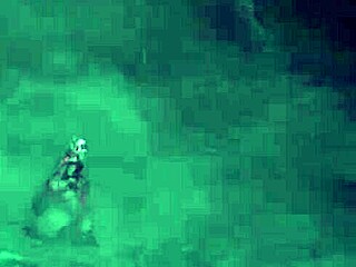Small-boobed Saber Alt takes on Rider No Filler in a steamy video