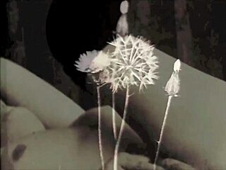 Vintage Diaries Reveal Gentleman's Secret Life