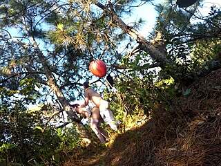 things happening in the woods outdoors