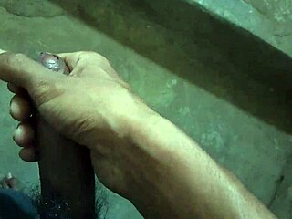 suck my cock, girls? or should i make you?