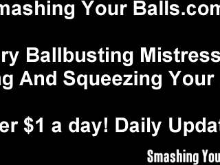 I Will Bust Your Balls Until You Squeal In Humiliation