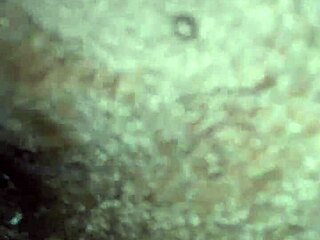 My little 18+ black ass friend she loves this dick!