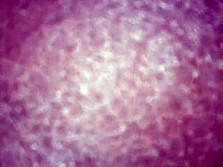 My little 18+ black ass friend she loves this dick!