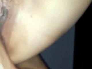 Amateur Wife Poses In Four Different Positions.