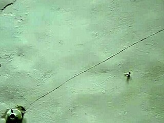 My comadre is suckin' so good, I can't believe it!