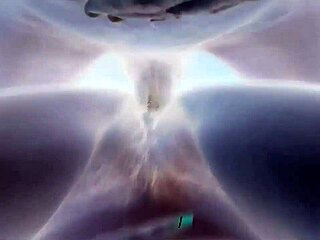 blanco y negro intriguing contrast