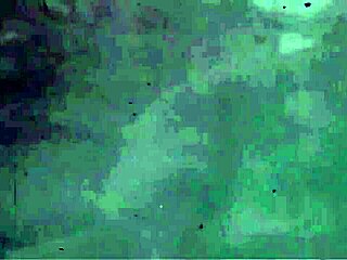 My Secret Life Vintage Mermaids!