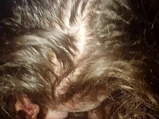 Amy Gives Detailed Blowjob To Big Cock