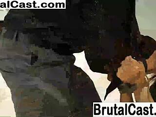 Rough Anal Casting Interview.