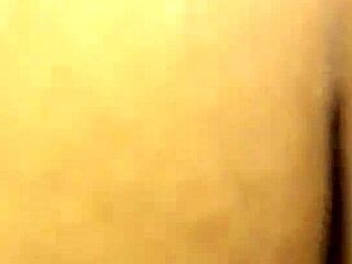 Aunty's Family Adventures