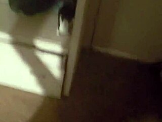 Blonde Amateur Gives Blowjob To Pierced Cock In Homemade Video