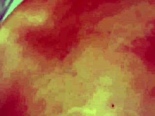 Sucking My Balls With Deep Passion.