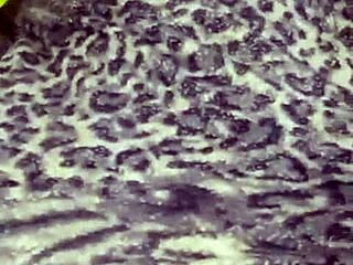 I Put It In Bed To My Stepsister!