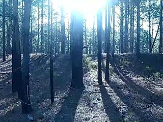 Halloween brings big tits small tits natural tits voyeur excitement