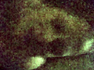 Snow Bunny Cumslut Receives Facial