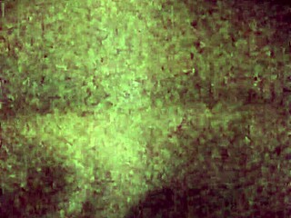 Snow Bunny Cumslut Receives Facial