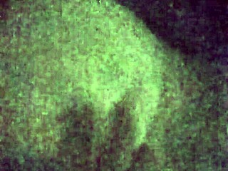 Snow Bunny Cumslut Receives Facial