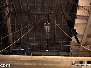 sadomasochism amateurs in everyday setting