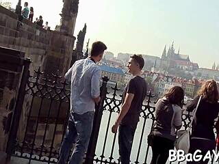 Intriguing Collection Of Gay Porn Videos With Hot Action