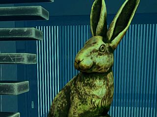 year of the rabbit in a fun cartoon adventure