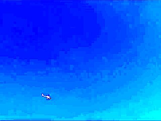 Excited African Couple of Lovers Engage in Real Amateur Sex on the Beach with Creampie