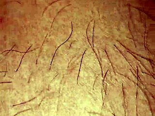 Wife Asleep In Bed After A Long Day. She Dreams Peacefully