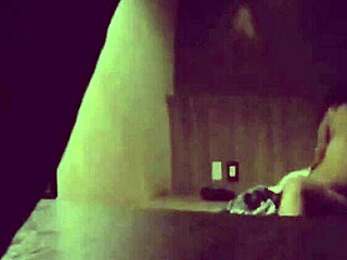 Amateur party gets wild in new hotel
