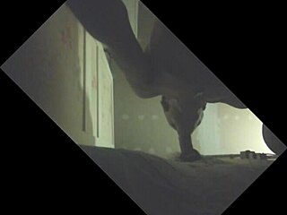 i love sucking that stallion's big load in the glory hole