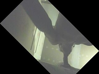 i love sucking that stallion's big load in the glory hole