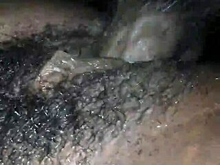 Mate's Pussy Gets Detailed Fucking Action in Intense Session