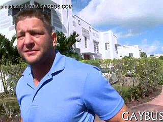 i love free homo sex, it's soo good for me