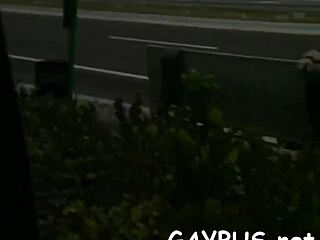 Suggestive Encounter Between Homosexual Bears in Intimate Setting