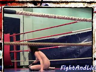 European babes wrestle naked in boxing ring action.
