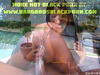 Convincing Her to Remove Yellow Bikini