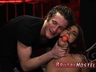 In This Animation, Youthful Tourists Felicity Feline and Companion Explore BDSM with Bondage and Domination