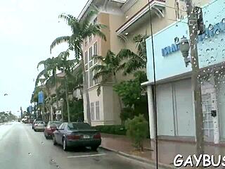 homosexual tumblr content exploration