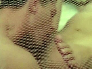 Dreaming of Wild Office Action