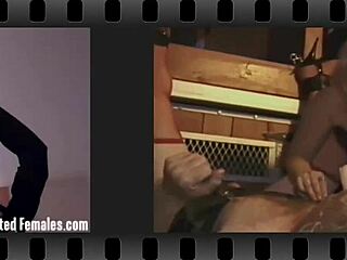 I Am Going To Challenge You Intensely