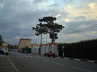 Lesbian Girls Licking and Fucking Each Other