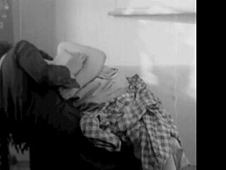 dark lantern entertainment unveils vintage hairy granny in retro action