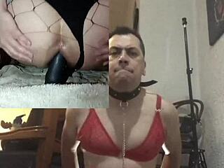 i'm using my two octopus dildos in front of two cameras for fun 😏