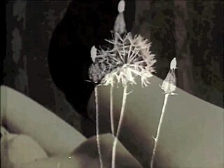 In my secret life vintage homosexuals found great pleasure in buggering each other