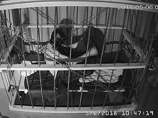 The cagecam feed shows raw, unedited gay bondage action