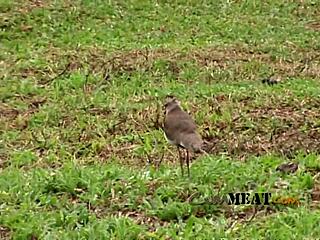 Two Farmer Gay Guys Fuck Hot On Ranch!